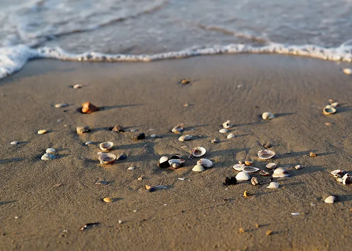 Cozy Flat Next To The Sea In Bibione-beahost Bibione