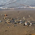 Cozy Flat Next To The Sea In Bibione-beahost Бибионе