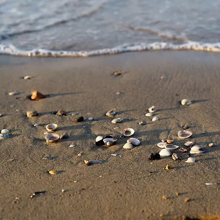 Cozy Flat Next To The Sea In Bibione-beahost بيبيوني